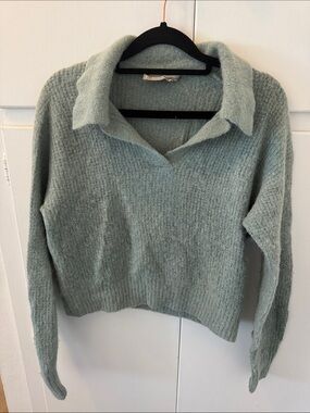Everlane Alpaca & Wool blend Sage Green Collared V-Neck Sweater